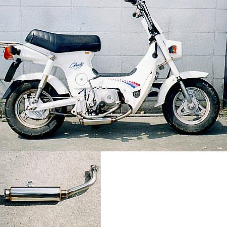 WirusWin（ウイルズウィン） ロッドダウンショートマフラー CHALY