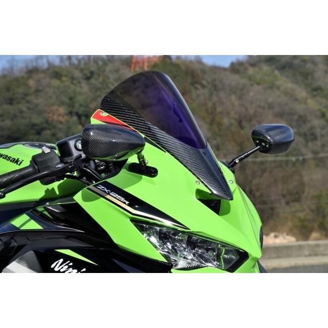 Magical Racing（マジカルレーシング） カーボントリムスクリーン