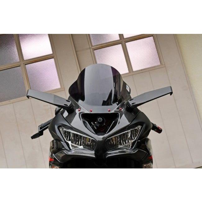 SPEEDRA（スピードラ） ウィングレット 仕様：綾織り(艶あり) ZX-25R