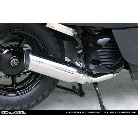WirusWin（ウイルズウィン） テイストマフラー ジョグ ジョグZR YAMAHA
