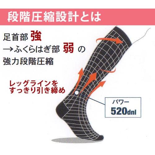 エナジック ハイソックス BiBi Grant エナジックハイソックス LL