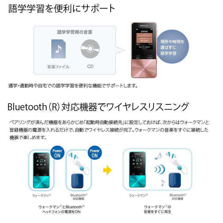 SONY（ソニー） 【中古】SONY WALKMAN NW-S313 ウォークマン Sシリーズ