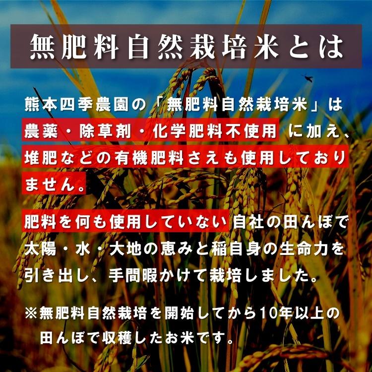 ヒノヒカリ 自然栽培米 5kg 白米 玄米 令和7年産 熊本県産 菊池 自社