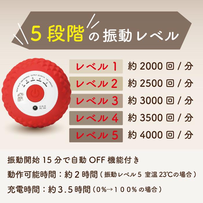 Re シェイプツインボール フィットネスクラブがつくった レッド