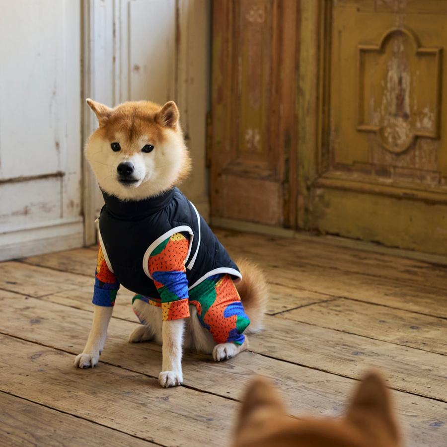 MANDARINE BROTHERS（マンダリンブラザーズ） 犬 服 スキンタイト