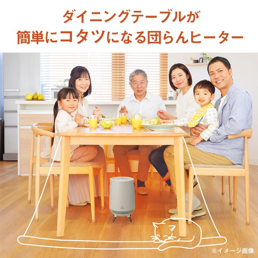 APIX INTERNATIONAL（アピックス インターナショナル） 360度 温風