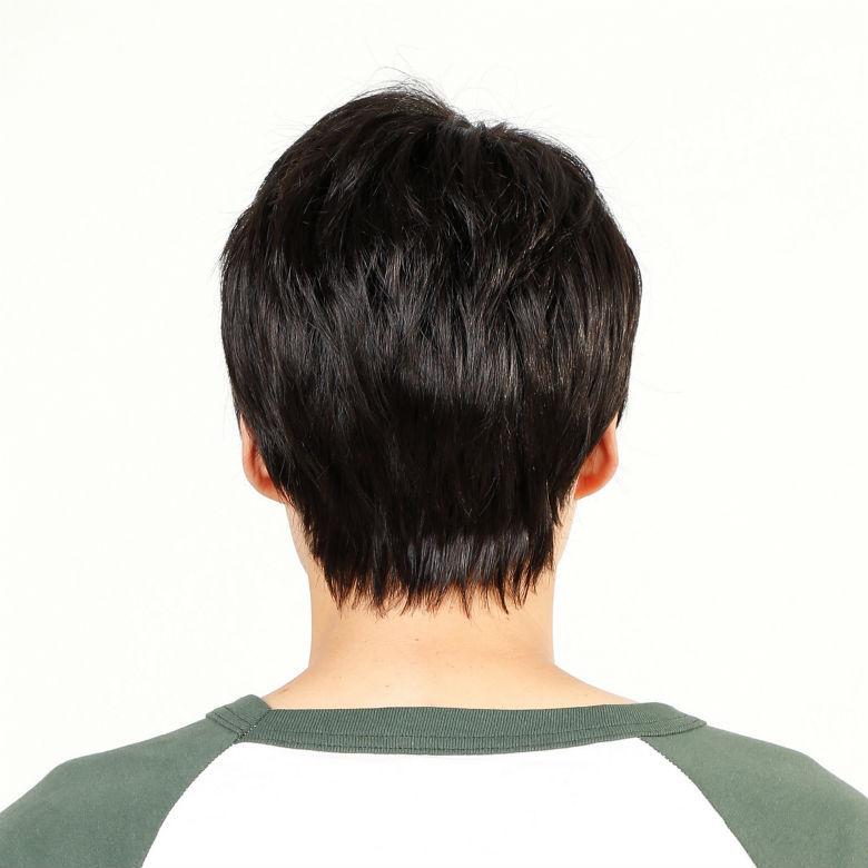 メンズウィッグ ラパンドアールオム フレッシュショート スタンダード