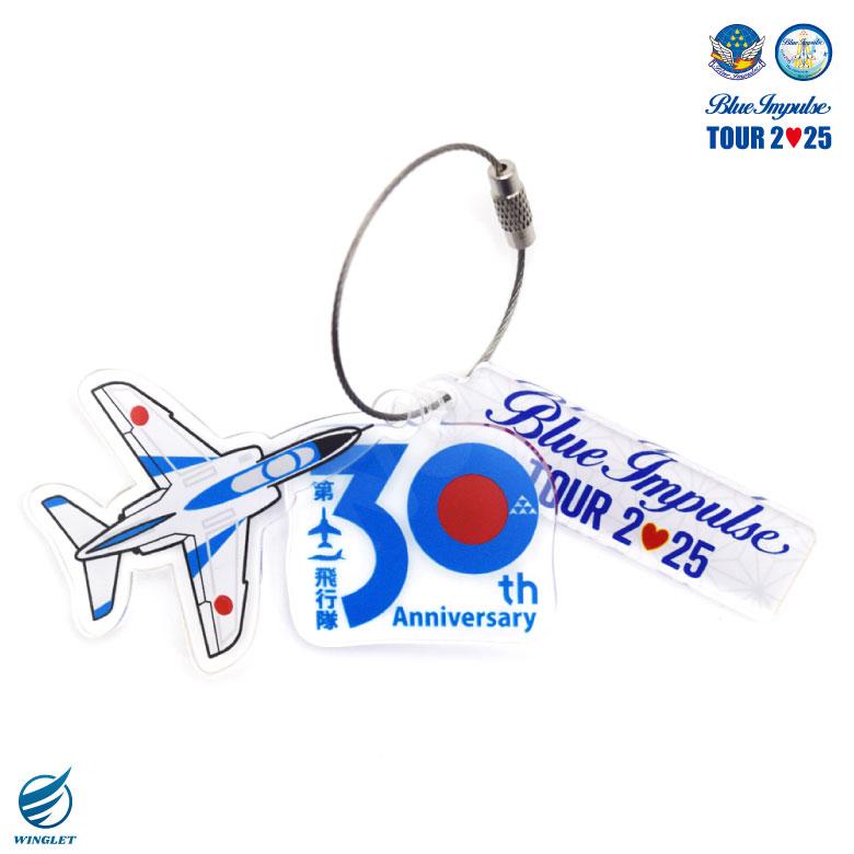 航空自衛隊 ブルーインパルス ツアー 2025 第11飛行隊 30周年記念 3連