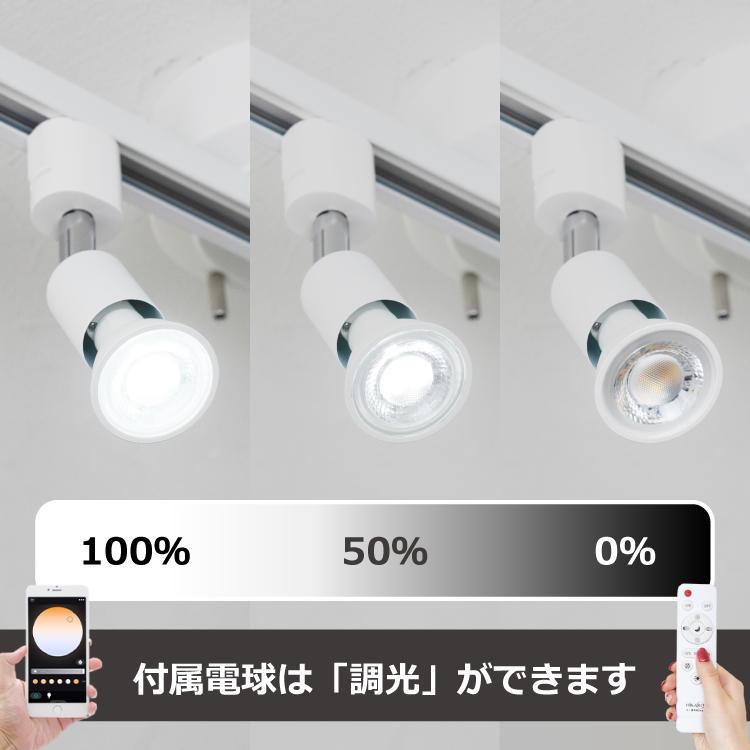 スポットライト プロモ4種セット スポットライト プロモ4種セット