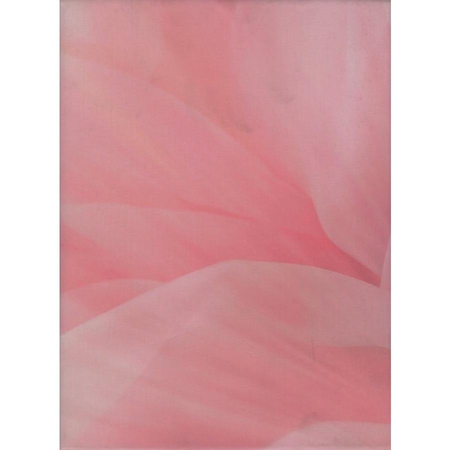 恋を何年休んでますか スペシャルコレクション / 2008.02.22 小泉