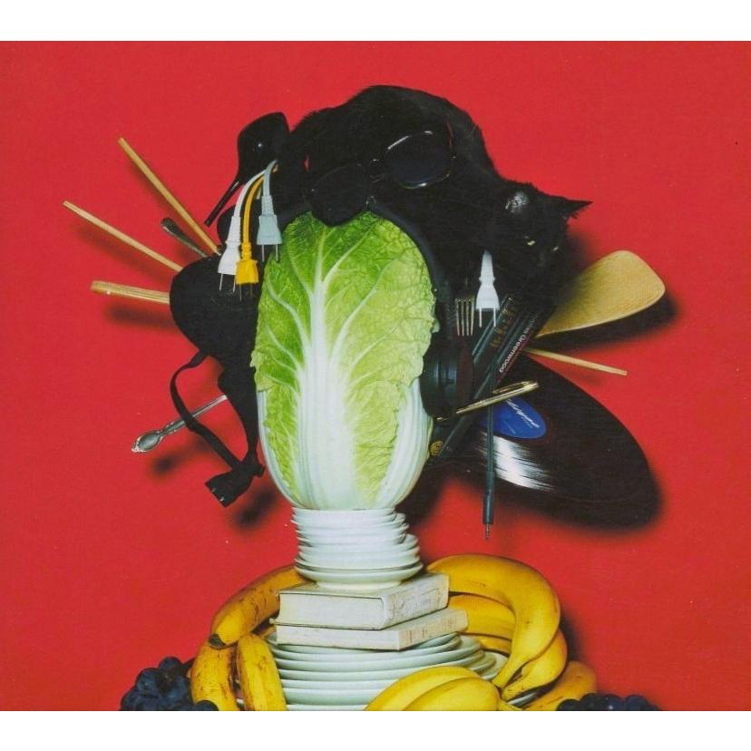 星野源 / YELLOW DANCER イエローダンサー 2015.12.02 4thアルバム