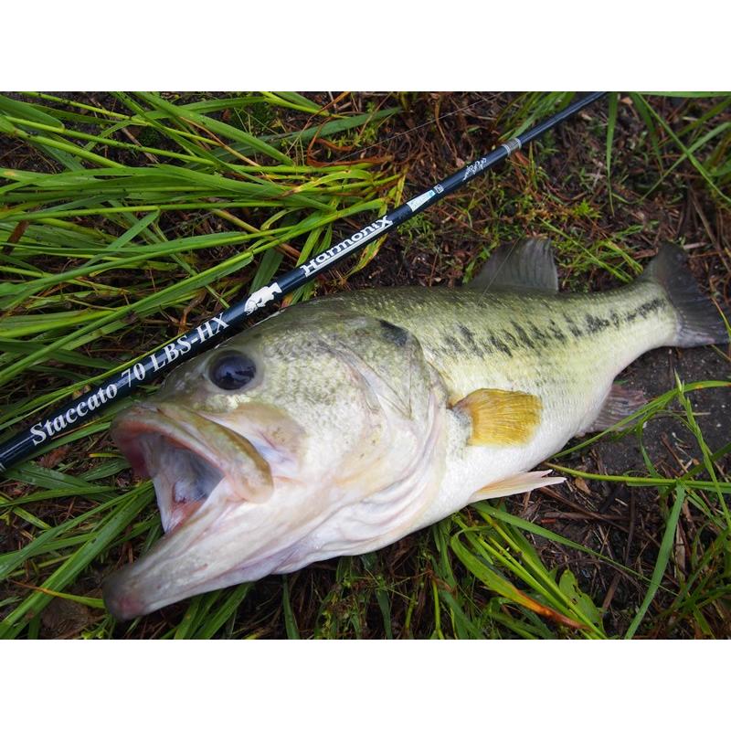 TULALA ツララ ハーモニクス スタッカート70LBS-HX : ウインズヤフー店