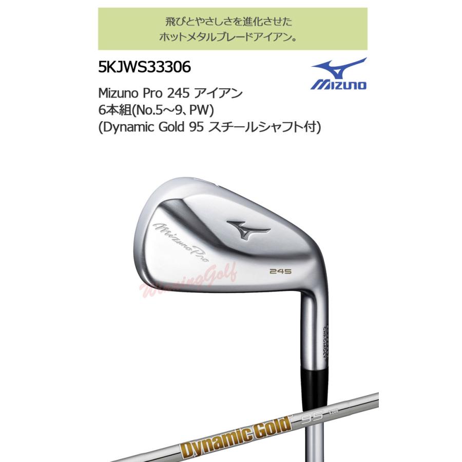 Mizuno Pro ミズノ ミズノプロ 245 アイアン 6本組(No.5〜PW) (Dynamic