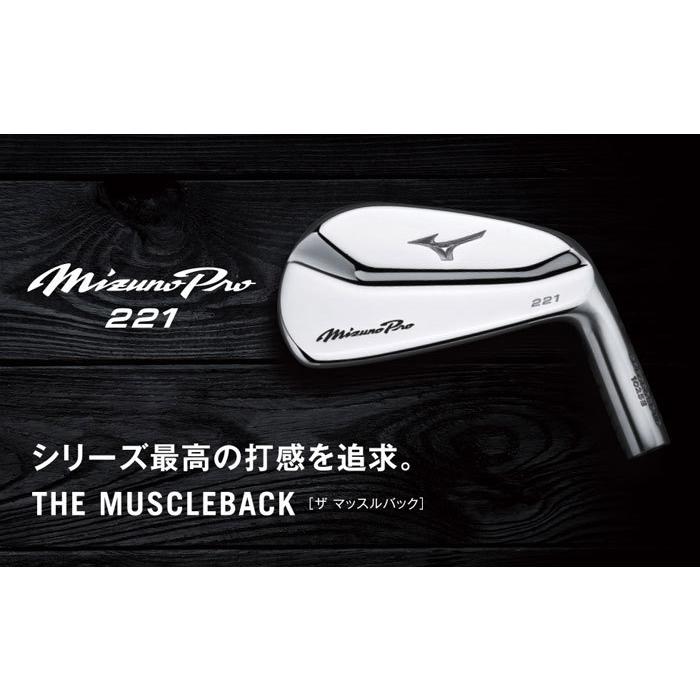 MIZUNO（ミズノ） ミズノプロ 221 アイアン 単品(No.3、No.4) (Dynamic