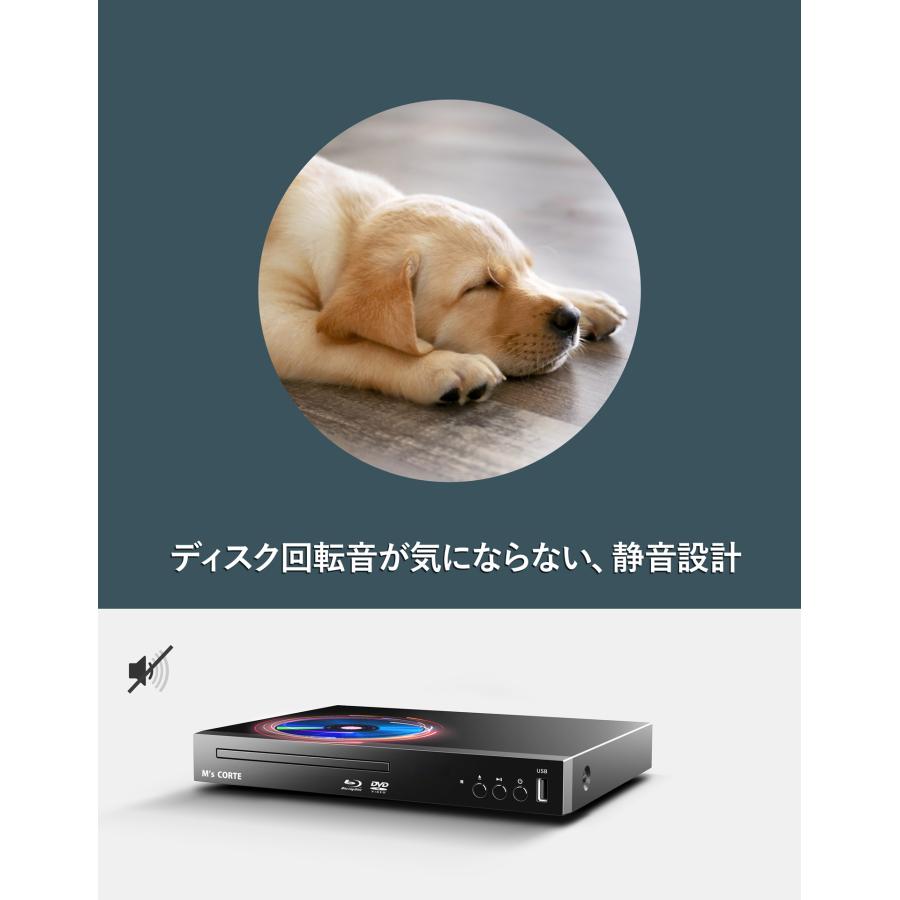 新発売＞ダイニチ電子 国内メーカー M's CORTE HD 1080P ブルーレイ