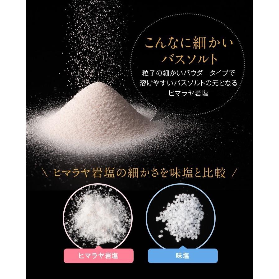 ブラックソルト ヒマラヤ岩塩 バスソルト パウダー あら塩 小粒 各150g