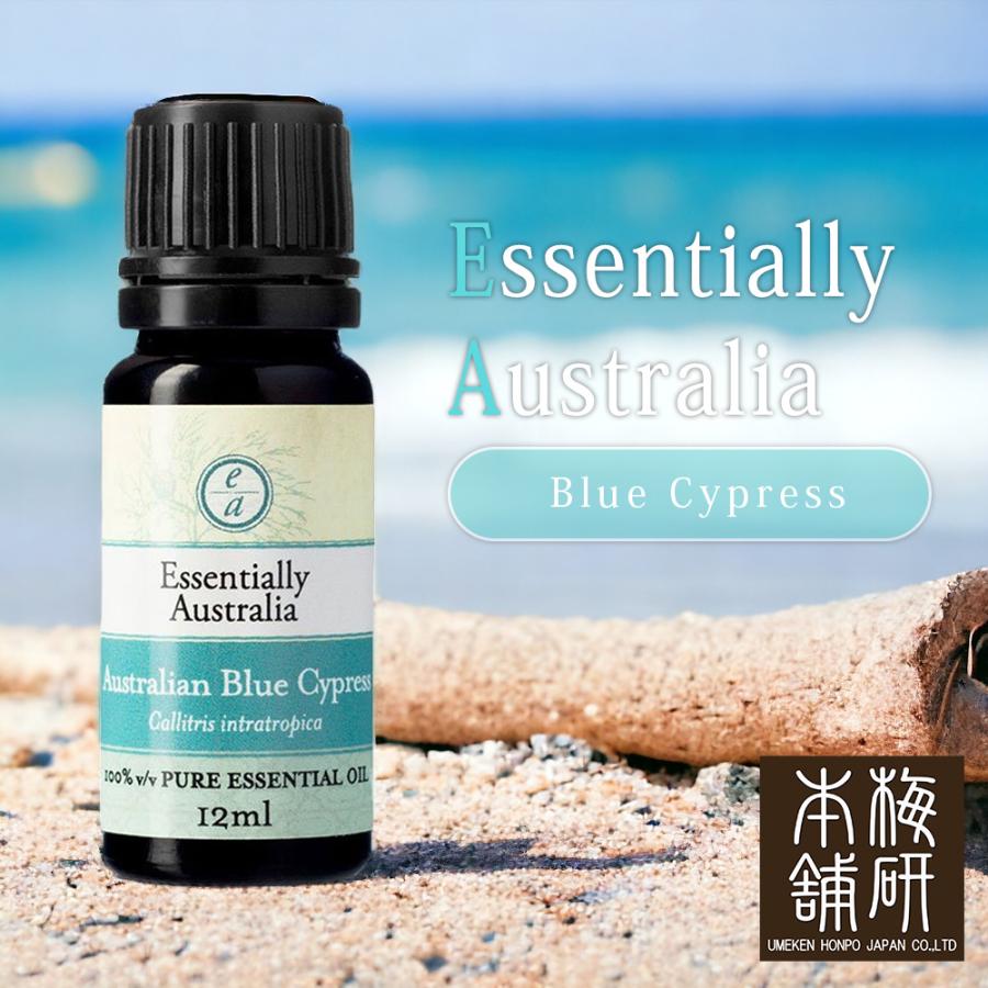エッセンシャルオイル ブルーサイプレス 12ml 天然 精油 100