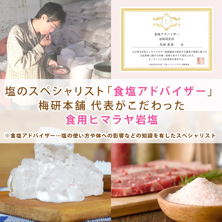 ヒマラヤ岩塩 クリスタルソルト ピンクソルト 200g 選べる2パック
