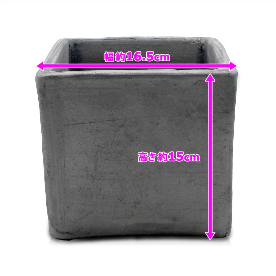 盆栽鉢 5号 正角鉢 イブシ 三河焼 燻し 四角 深型 山野草 観葉植物