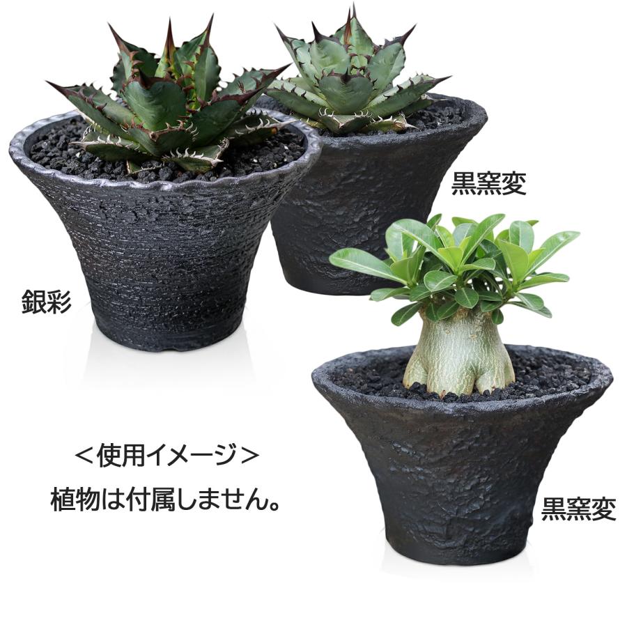 盆栽鉢 6号 ソリ型 黒窯変 信楽焼 荒れ ゴツゴツ 山野草 観葉植物