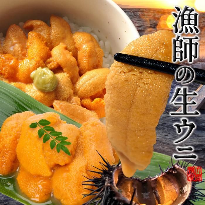 うに最終 国産極上 大容量 生うに540g(180g×3本)［天然新物］漁師の生