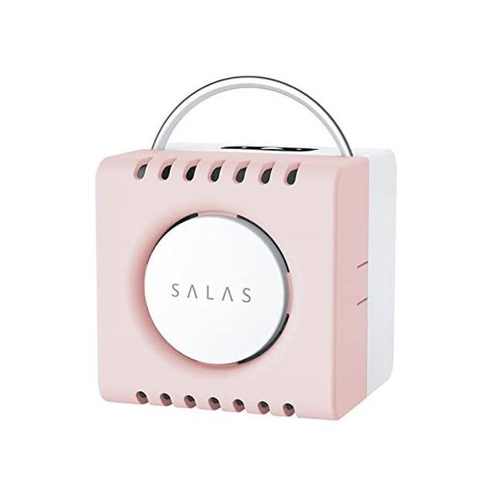 オゾン 脱臭機 在庫限り 脱臭 除菌 消臭 空気清浄 ウイルス 細菌