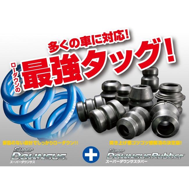 送料無料】 エスペリア スーパーダウンサス / スズキ スイフトスポーツ