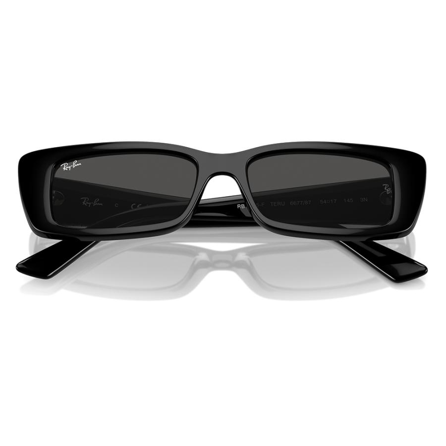 Ray-Ban（レイバン） サングラス 純正レンズ対応 RB4425F 667787 54