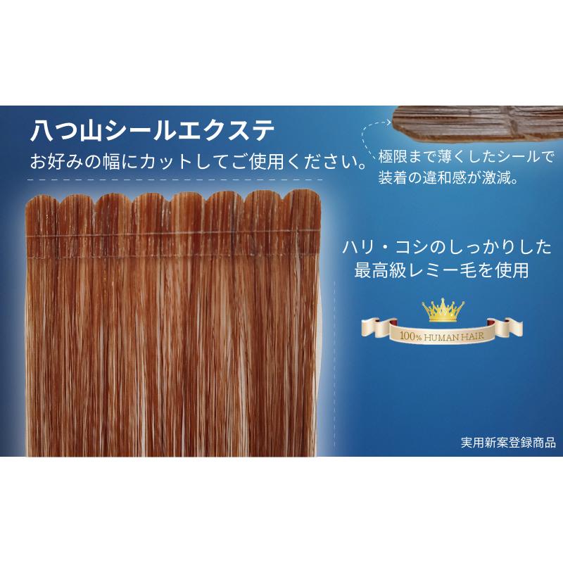 シールエクステ プレミアムロングタイプ【約52cm】【プレミアムタイプ