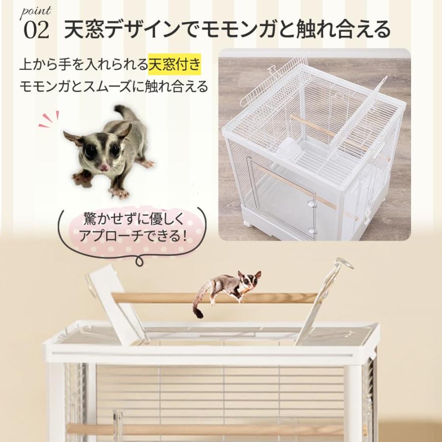 フクロモモンガ アクリルケージ クリアフロント 590high モモンガ