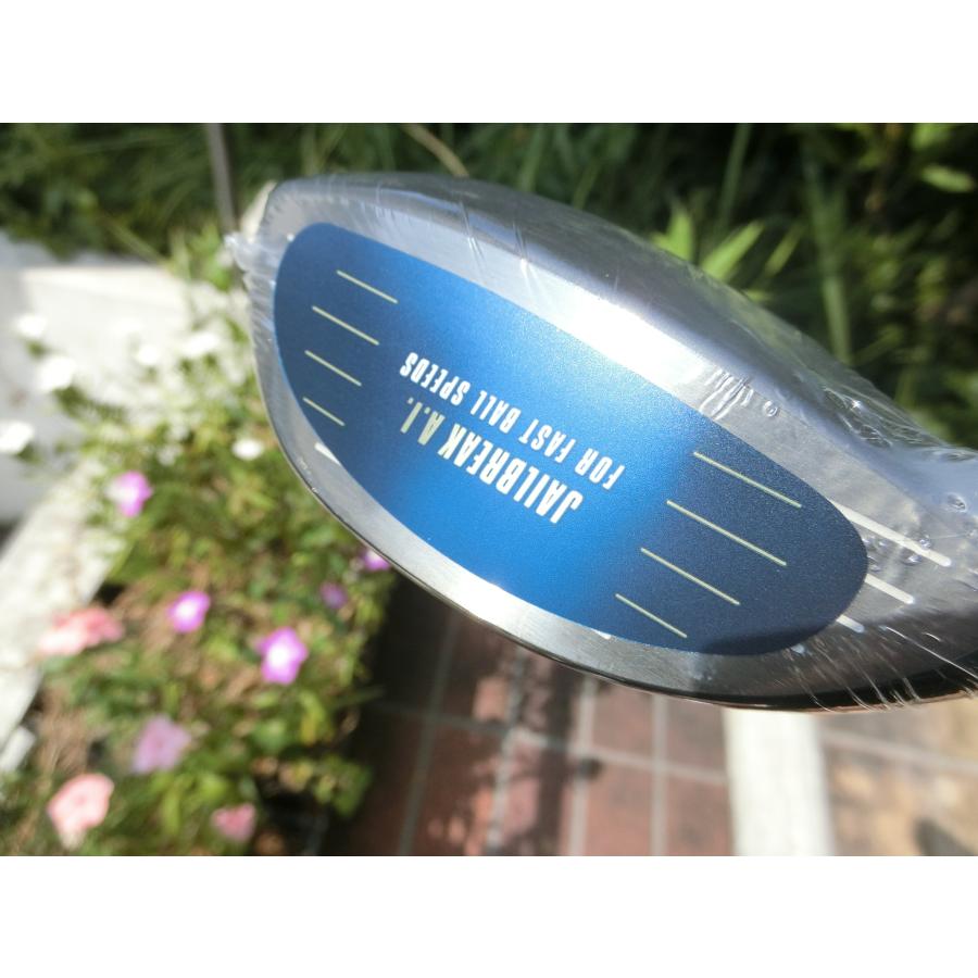 PARADYM 日本仕様 カスタム品♪ パラダイム トリプルダイヤモンド