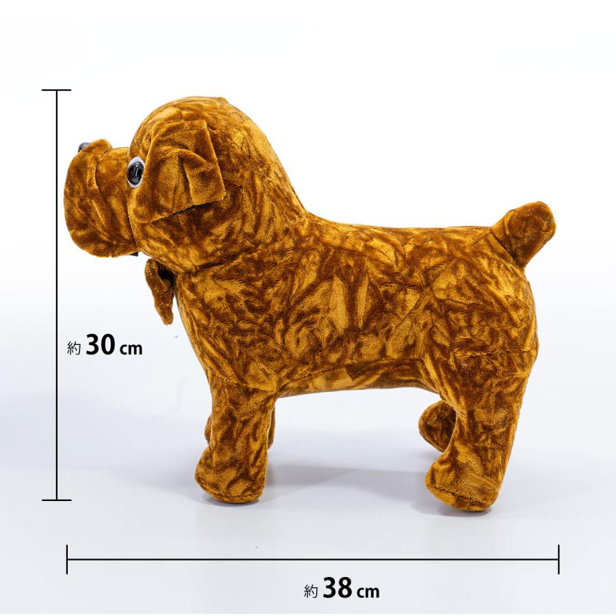 金華山 チンチラ 【ブルドッグ】ゴールド ぬいぐるみ 300mm×380mm