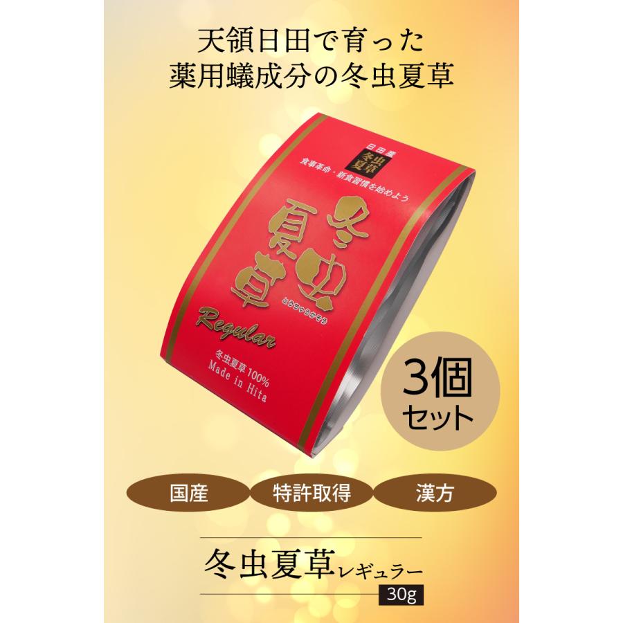 冬虫夏草 【レギュラー 30g×3袋】 大分県日田産 国産 特許取得 漢方 子
