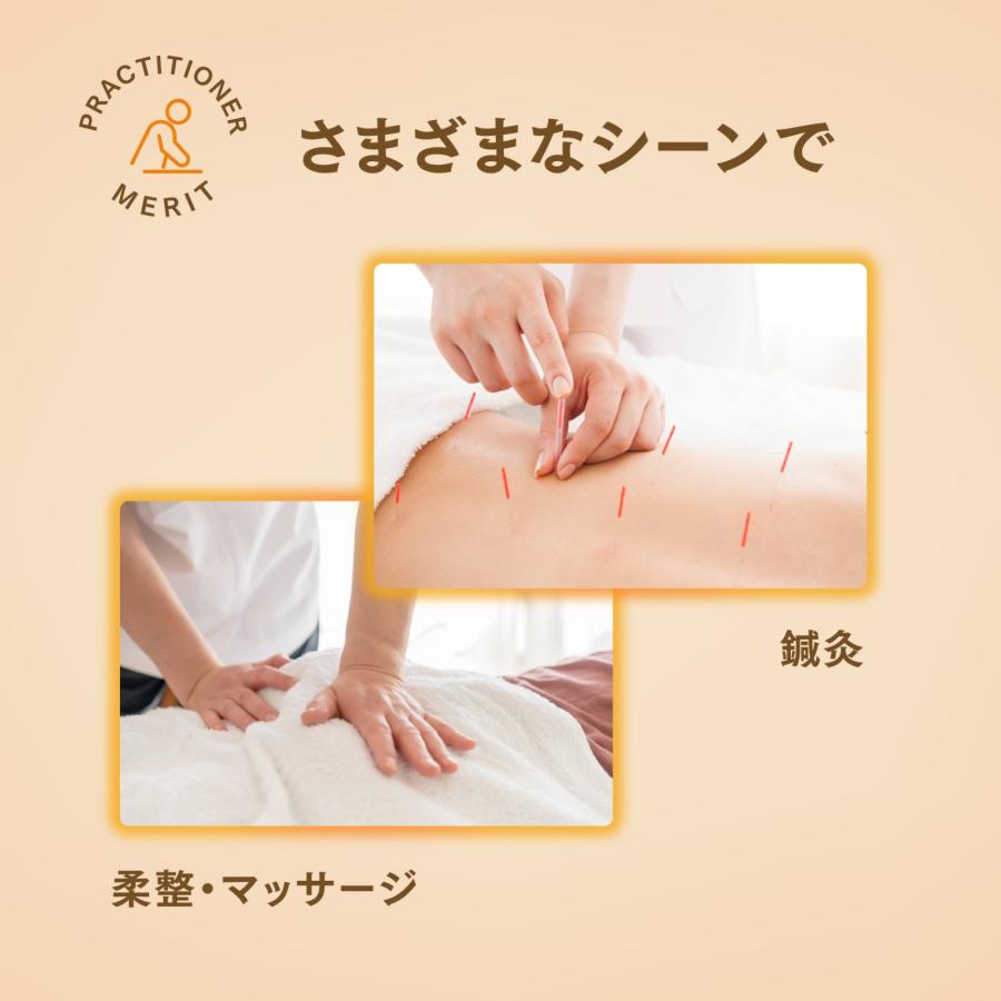 トワテック 【無孔】TWヒートマット ベッド 消音モード付き エステ