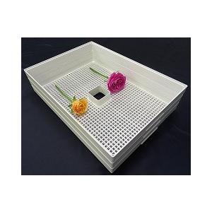 プチマレンギDX TTM-440N ポイント10倍 家庭用食品乾燥機 フード