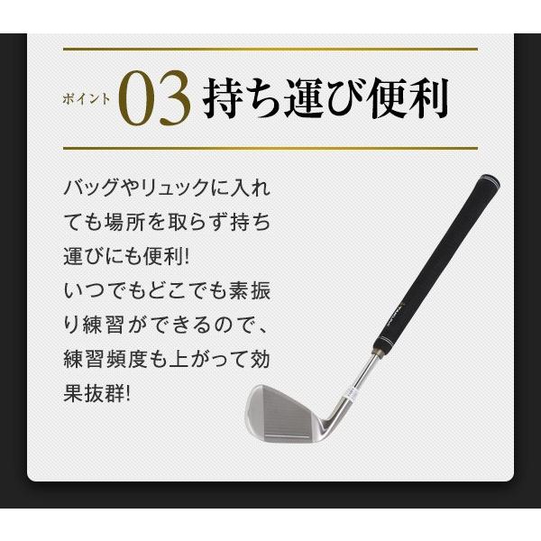 匠 スイングマスタープロ ヘッド付 スイング練習 自宅練習 飛距離