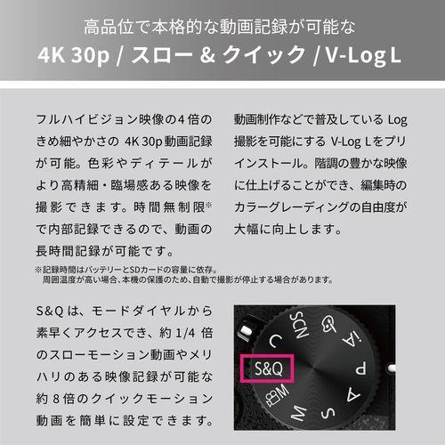 Panasonic（パナソニック） 【長期5年保証付】 LUMIX DC-G99M2H 高倍率