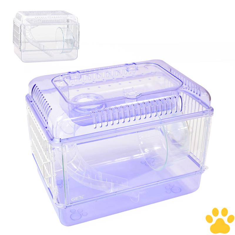 GEX（ジェックス） クリアフロント30 クリスタル / ラベンダー