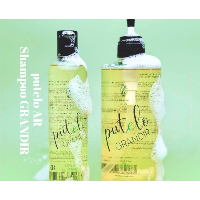 putelo（プテロ） ARシャンプー グランディール 1500ml : maution