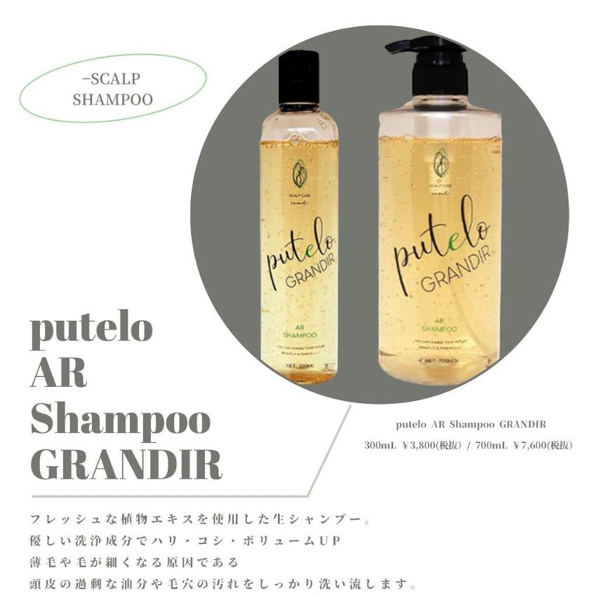 putelo（プテロ） ARシャンプー グランディール 1500ml : maution