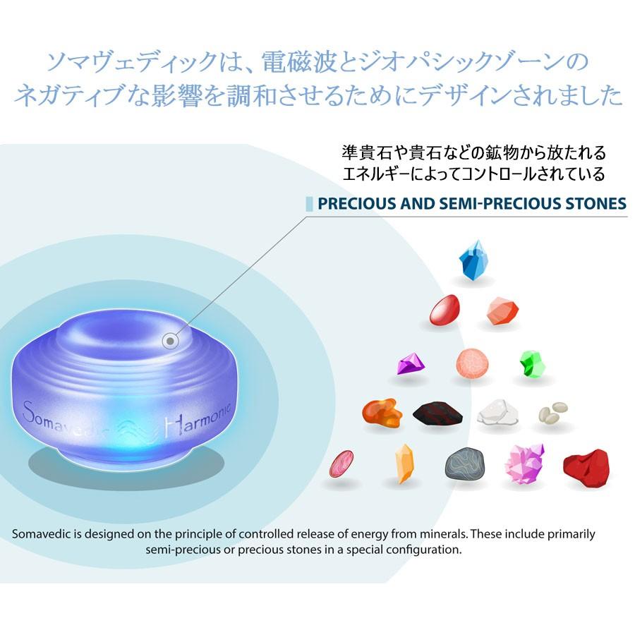 ソマヴェディック パワーブラック ポータブルボタン 持ち歩き