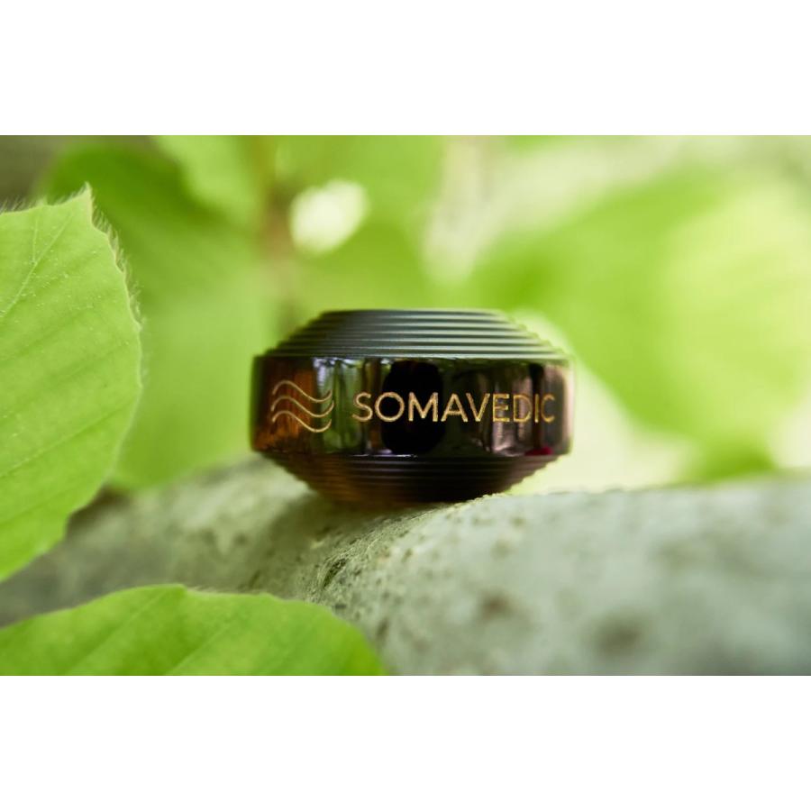 ソマヴェディック パワーブラック ポータブルボタン 持ち歩き