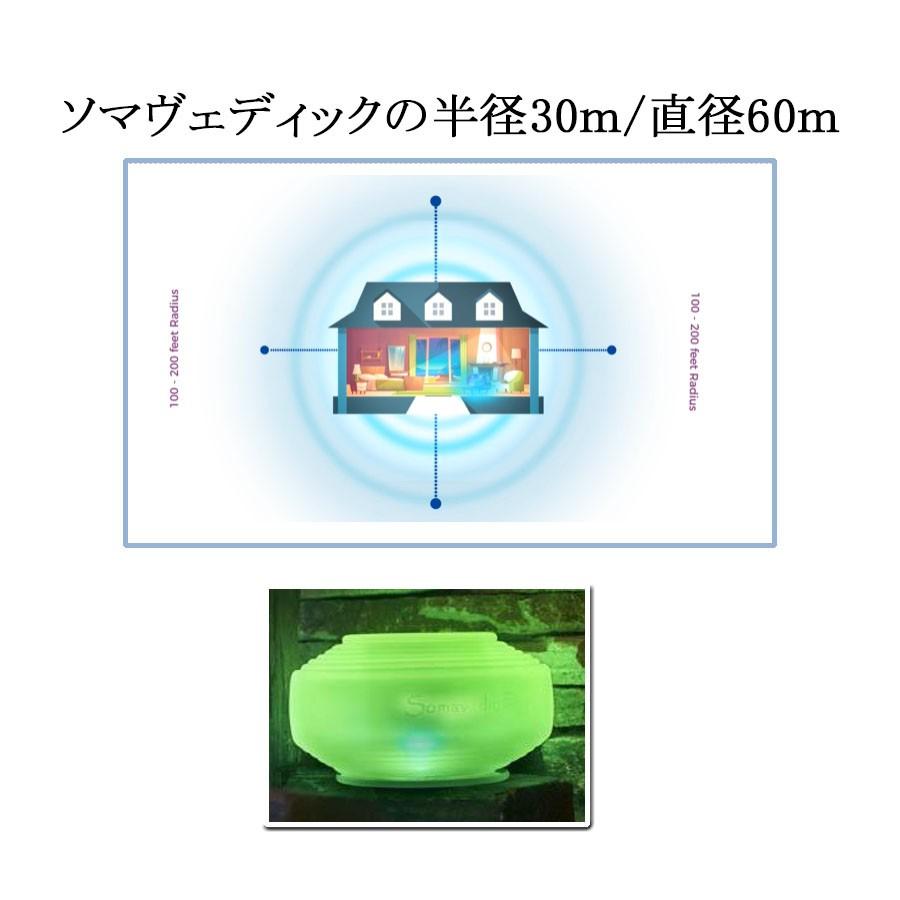 ソマヴェディック パワーブラック ポータブルボタン 持ち歩き
