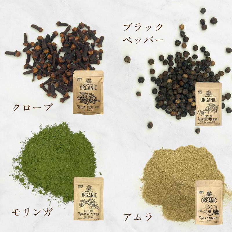 セイロンキシタアゲハ♂標本☆スリランカ☆ 106mm入手困難エリア鮮度