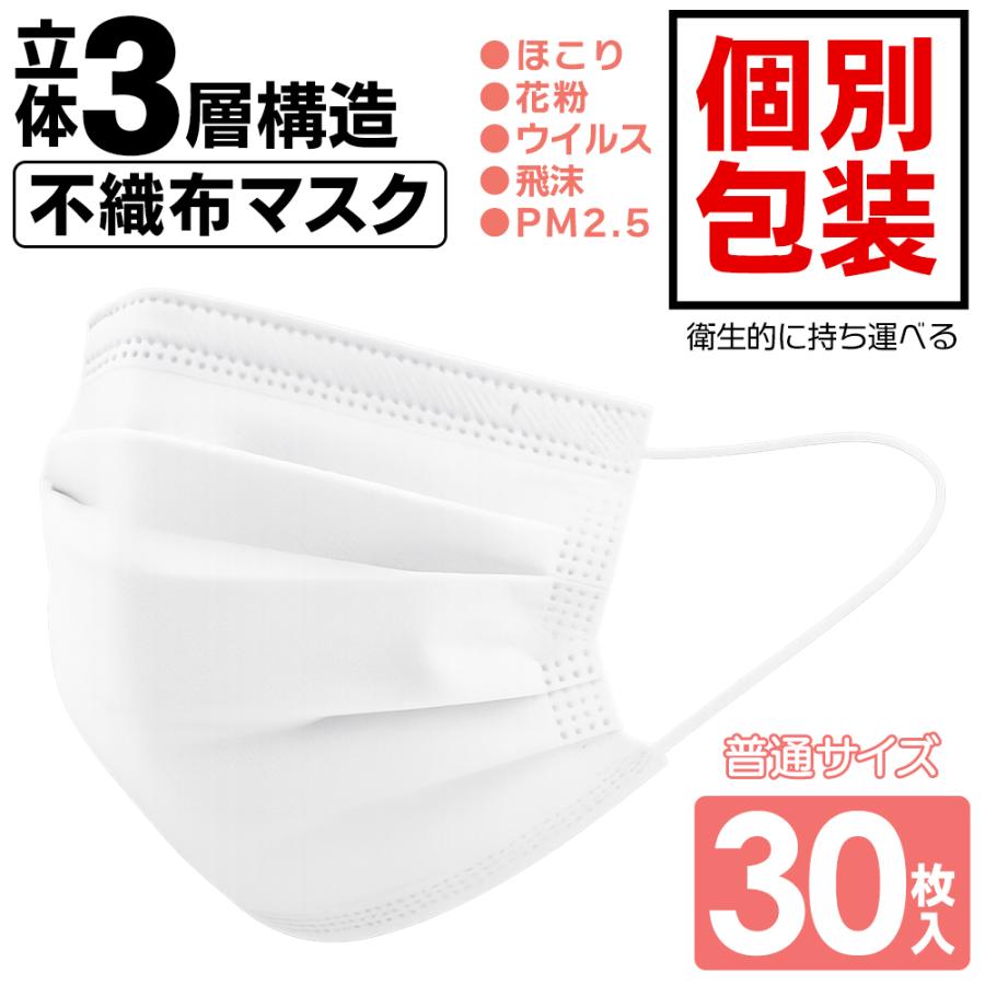 不織布マスク 30枚 立体マスク 個包装 ふつうサイズ 使い捨てマスク 三