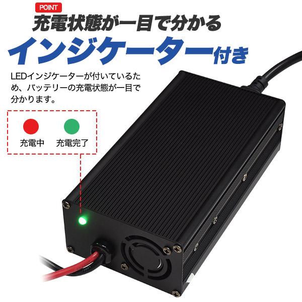 リン酸鉄リチウムイオンバッテリー専用 ACアダプター 充電器