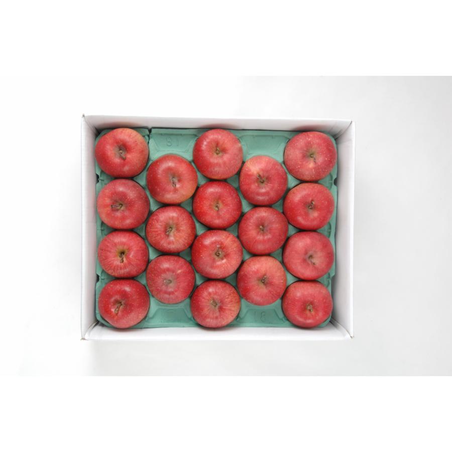 りんご5kg／台湾向け宅配／青森県産サンふじ5kg／2026年旧正月前配送