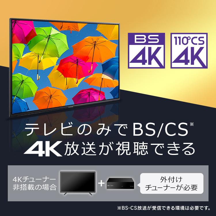 IRIS OHYAMA（アイリスオーヤマ） テレビ 4Kチューナー内蔵液晶テレビ