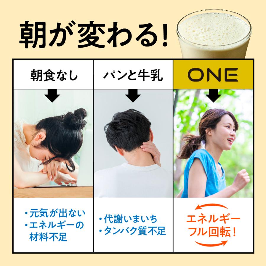 タマチャンショップ 超栄養食ONE スムージー 480g 粉末 ドリンク