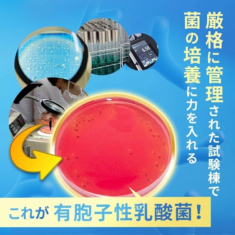 明治薬品 公式 ラクトロン錠 180錠 2袋 指定医薬部外品 整腸